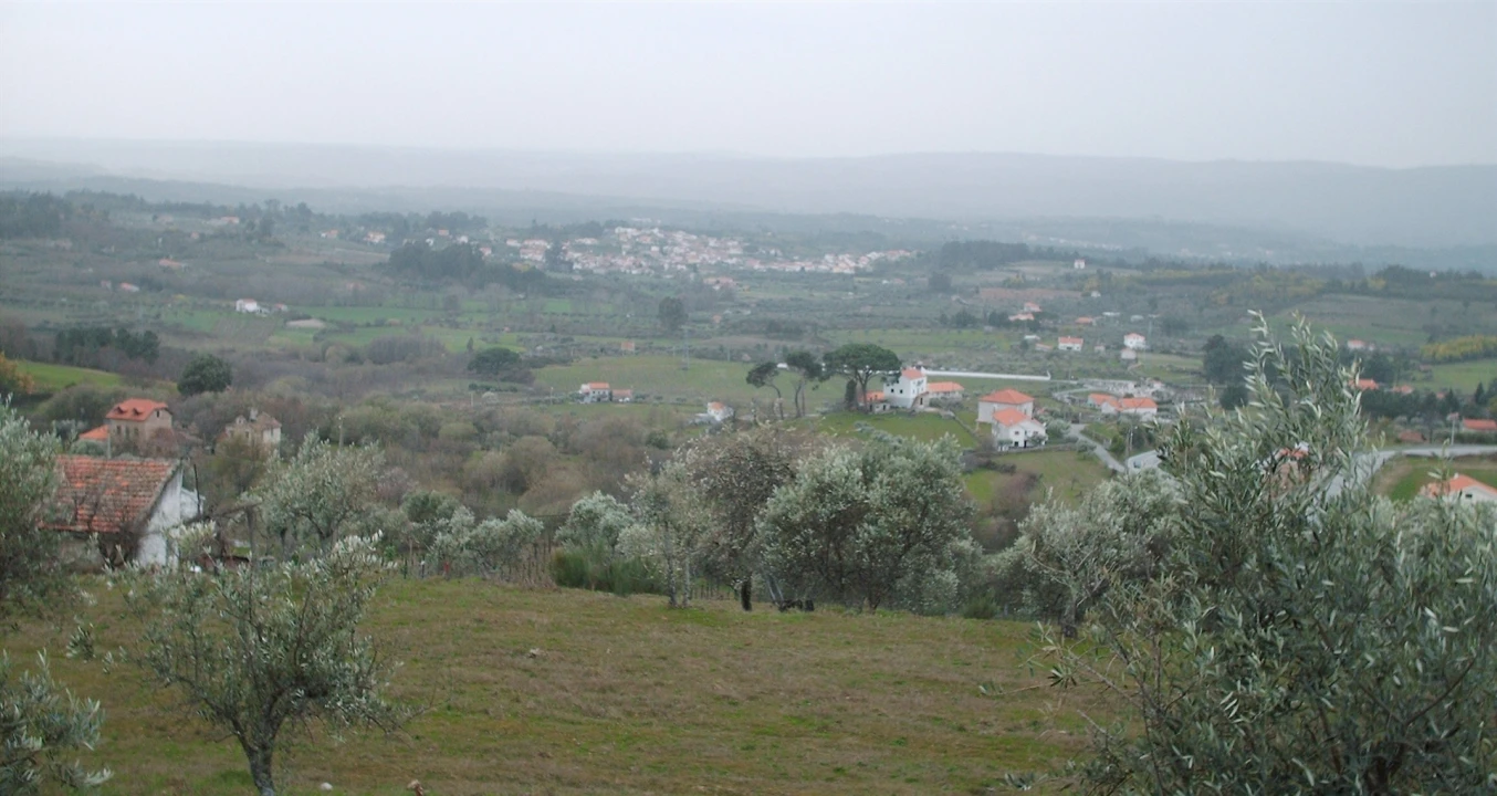 Terreno para Venda em Gouveia (São Pedro e São Julião) Foto 6