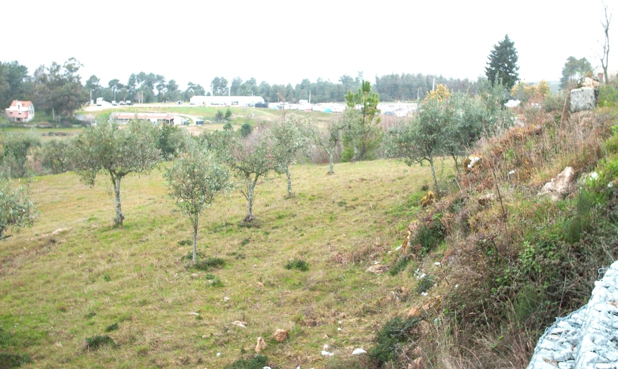 Terreno para Venda em Gouveia (São Pedro e São Julião) Foto 2