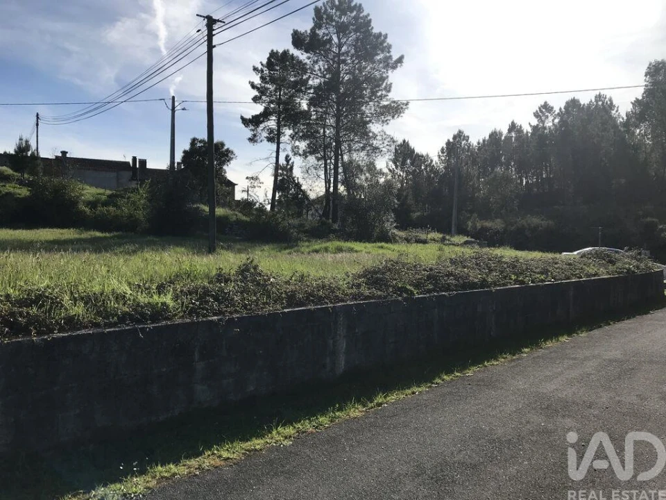 Terreno para Venda em Ansião Foto 5