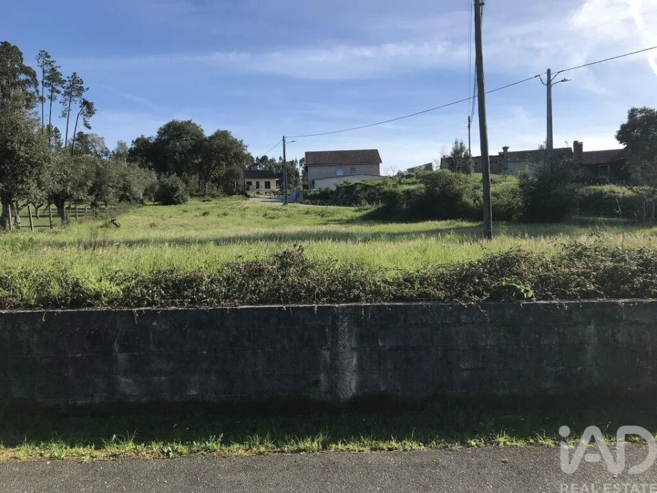 Terreno para Venda em Ansião Foto 4