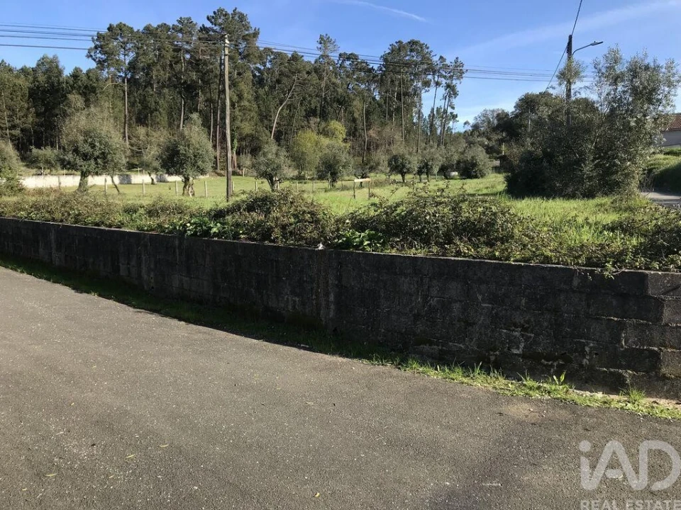 Terreno para Venda em Ansião Foto 3