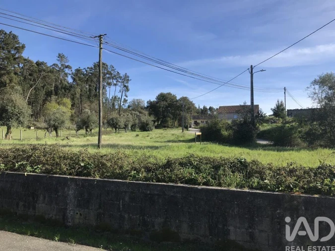 Terreno para Venda em Ansião Foto 9