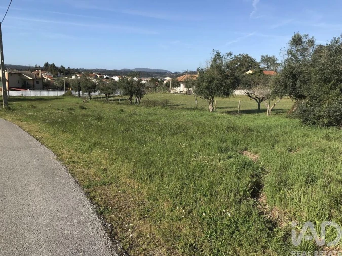 Terreno para Venda em Ansião Foto 6