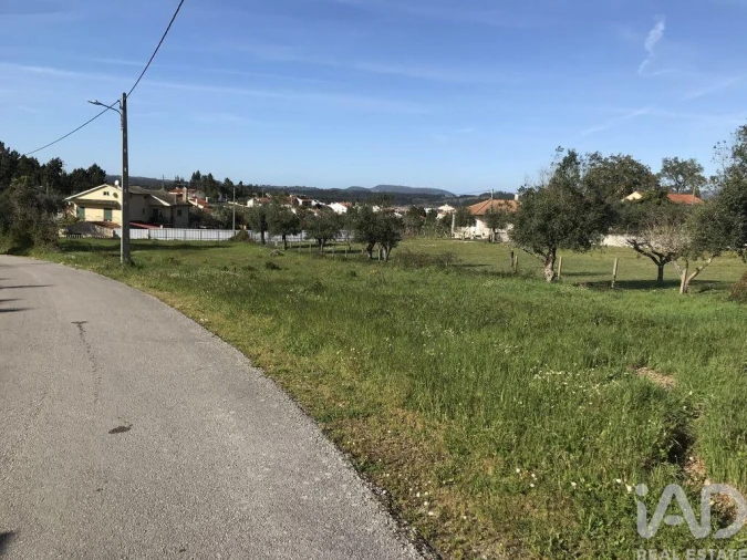 Terreno para Venda em Ansião Foto 7