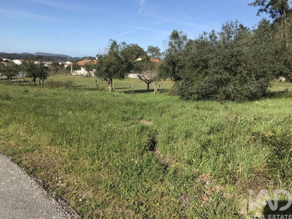 Terreno para Venda em Ansião Foto 8