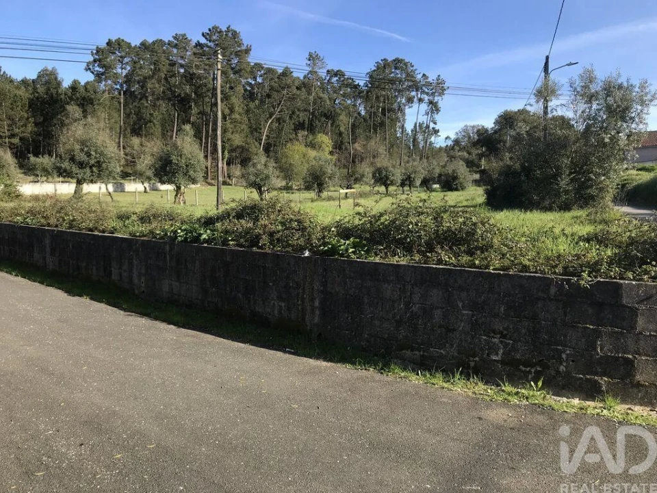 Terreno para Venda em Ansião Foto 1