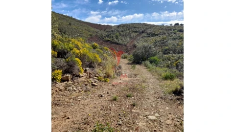 Terreno para Venda em Odeleite