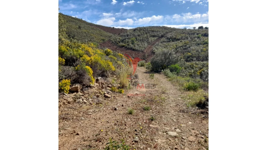 Terreno para Venda em Odeleite Foto 8