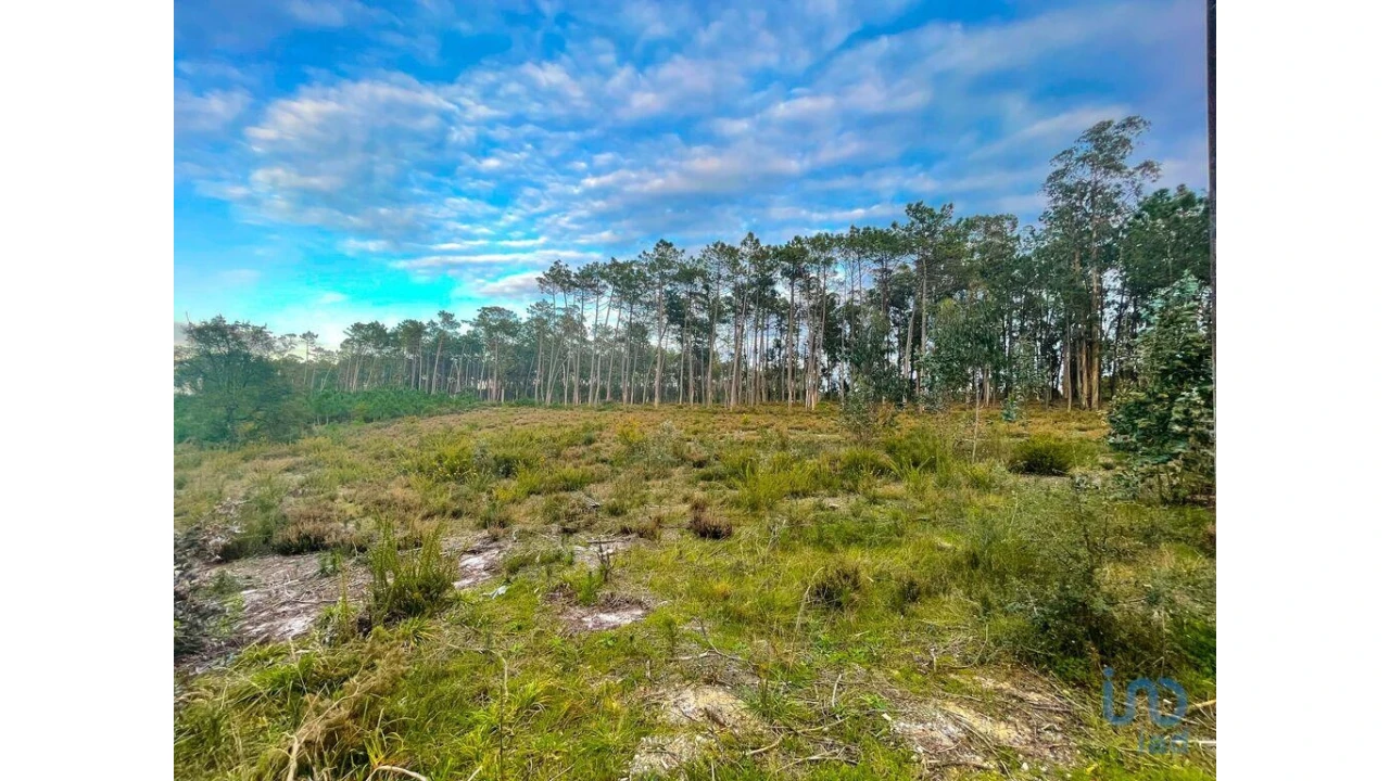 Terreno para Venda em Monte Redondo e Carreira Foto 2