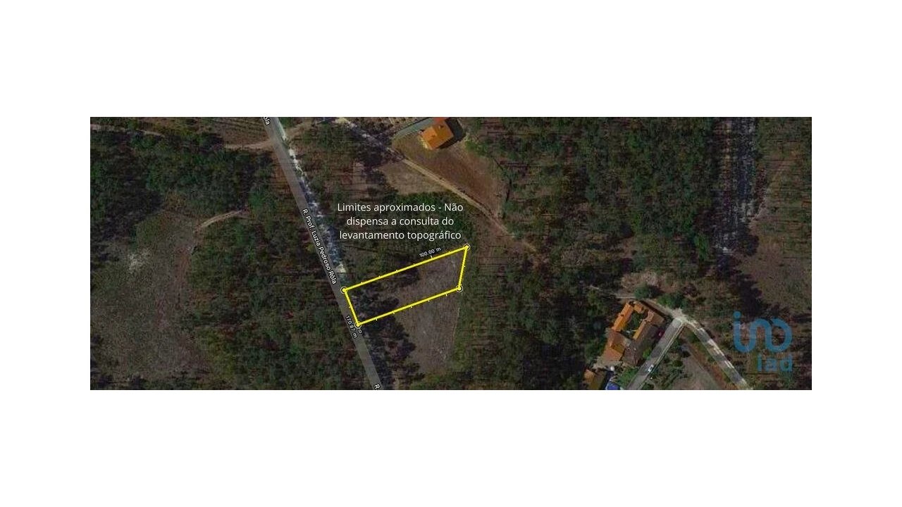 Terreno para Venda em Monte Redondo e Carreira Foto 8