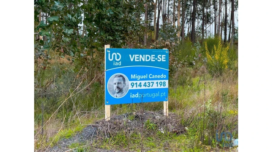 Terreno para Venda em Monte Redondo e Carreira Foto 6