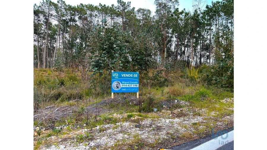 Terreno para Venda em Monte Redondo e Carreira Foto 5
