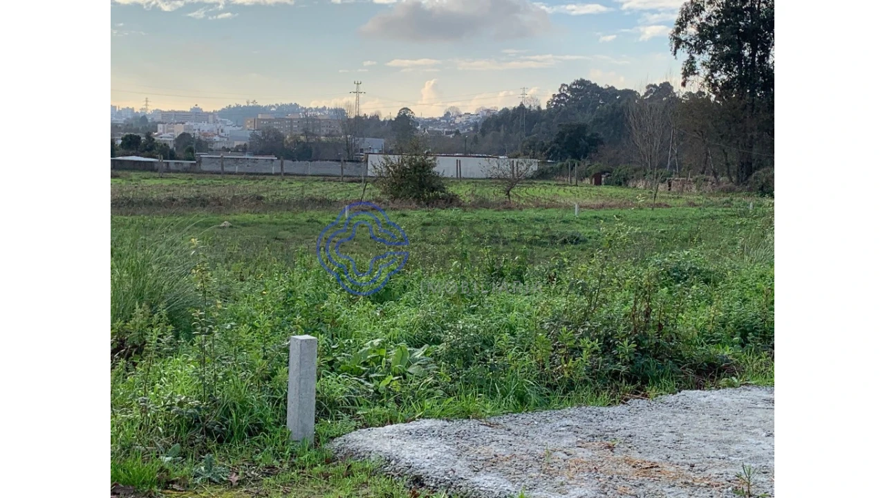 Terreno para Venda em Nogueira e Silva Escura Foto 12