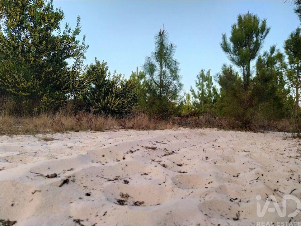 Terreno para Venda em Aljezur Foto 6