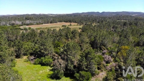 Terreno para Venda em Aljezur