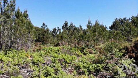 Terreno para Venda em Aljezur