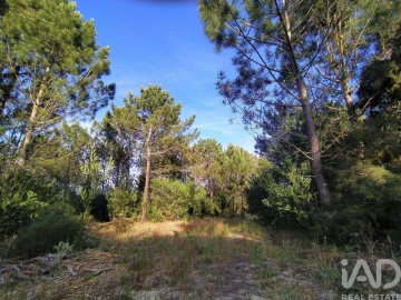 Terreno para Venda em Aljezur
