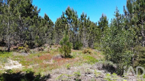 Terreno para Venda em Aljezur