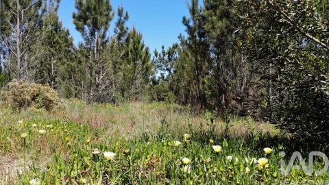 Terreno para Venda em Aljezur