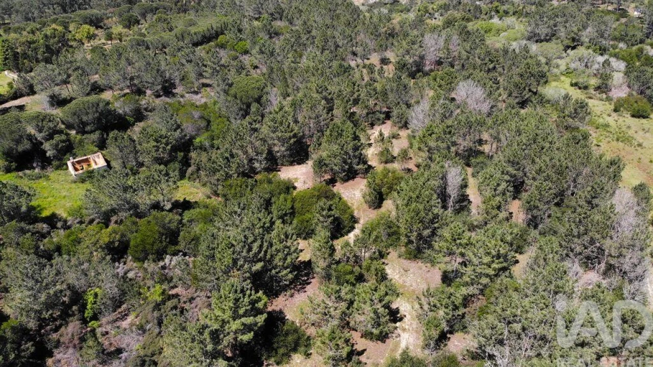 Terreno para Venda em Aljezur Foto 4