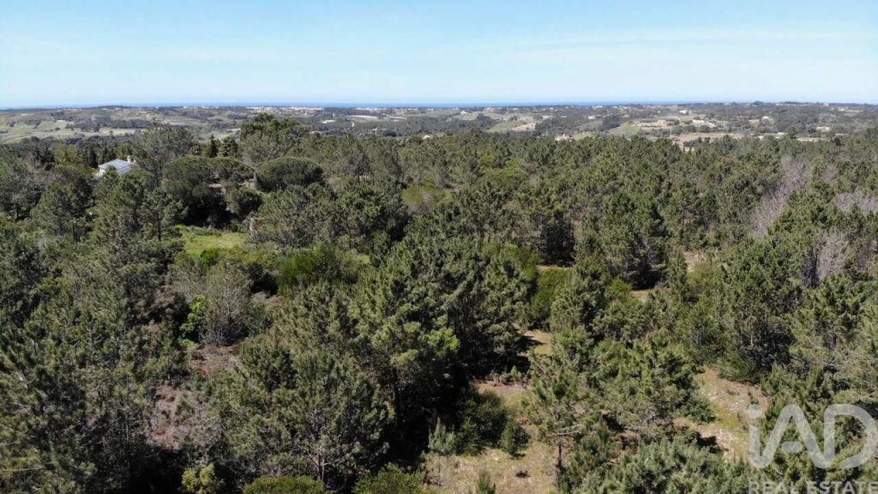 Terreno para Venda em Aljezur Foto 23