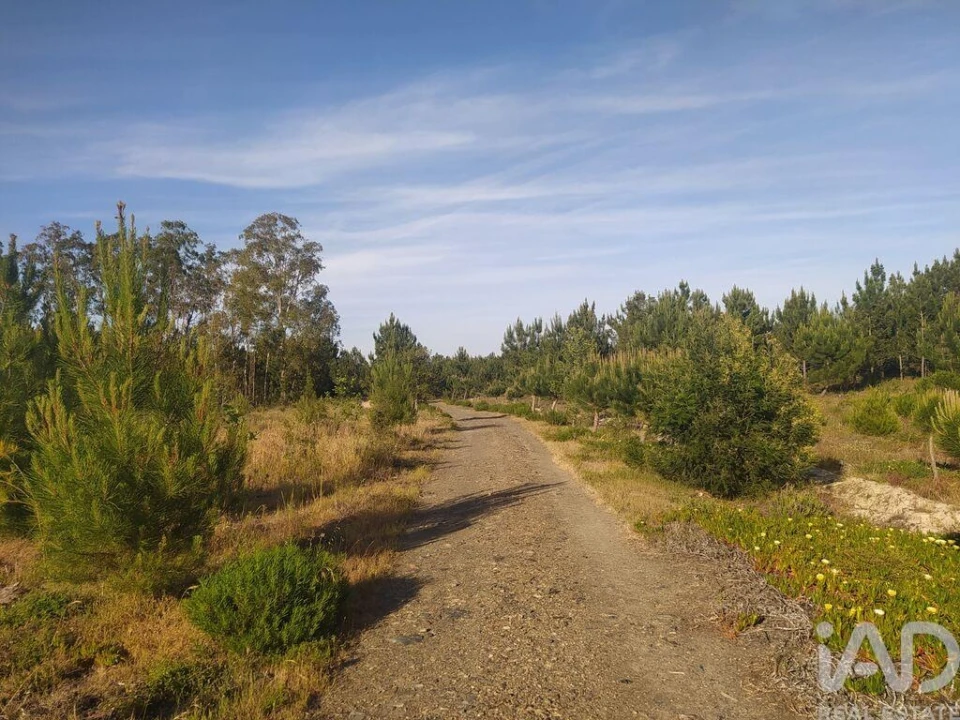 Terreno para Venda em Aljezur Foto 16