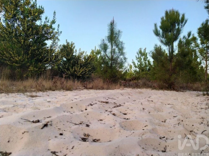 Terreno para Venda em Aljezur Foto 6