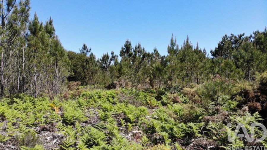 Terreno para Venda em Aljezur Foto 13