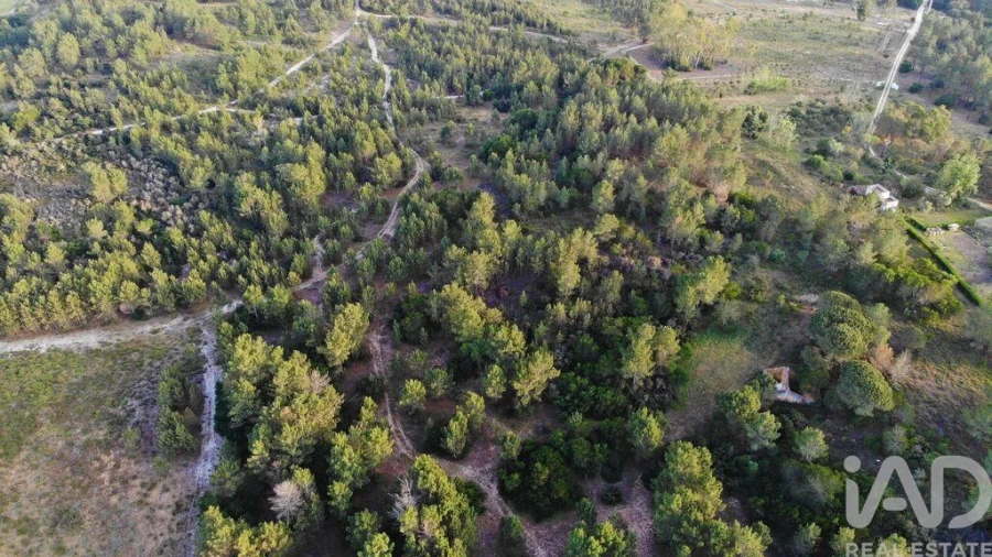 Terreno para Venda em Aljezur Foto 24