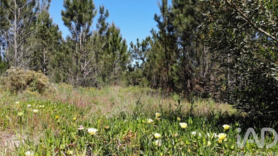 Terreno para Venda em Aljezur Foto 9
