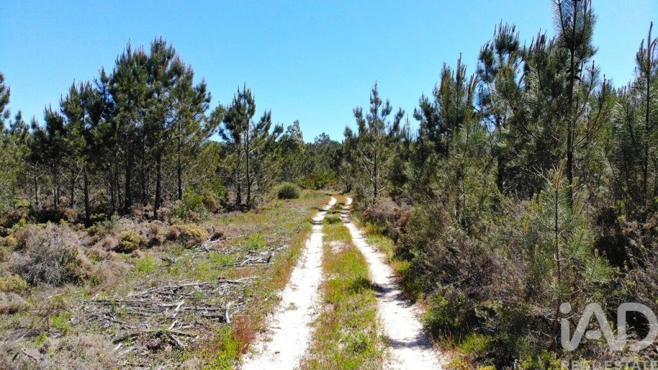 Terreno para Venda em Aljezur Foto 5