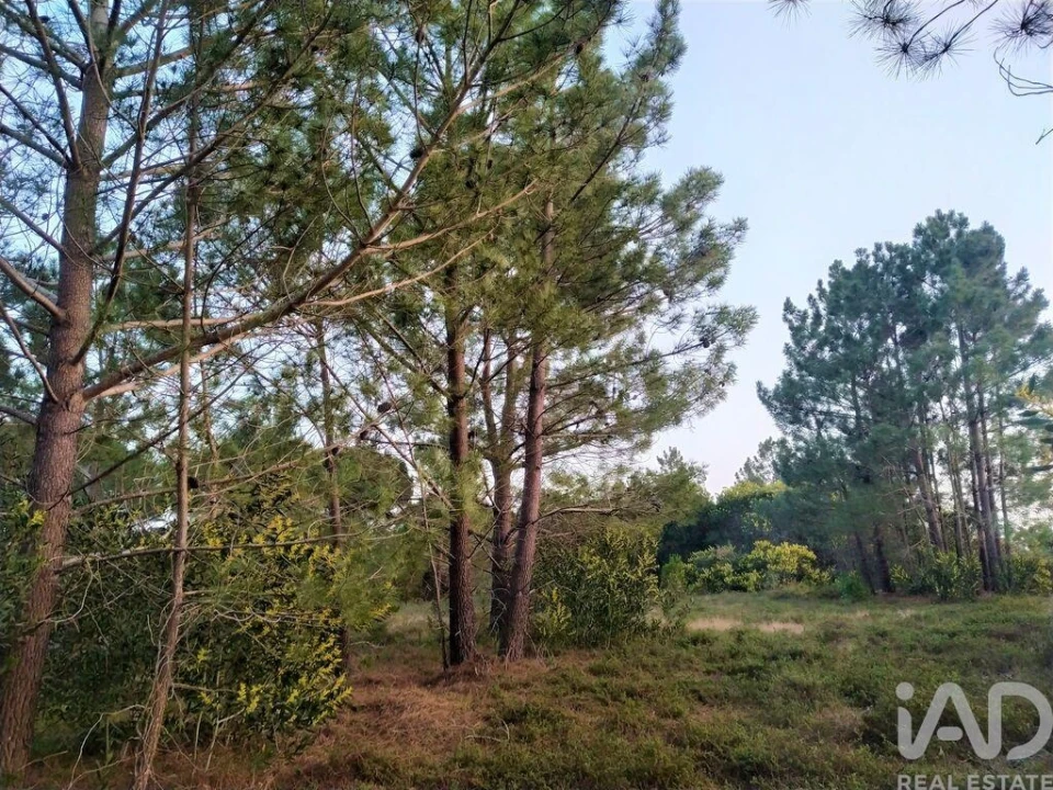 Terreno para Venda em Aljezur Foto 15
