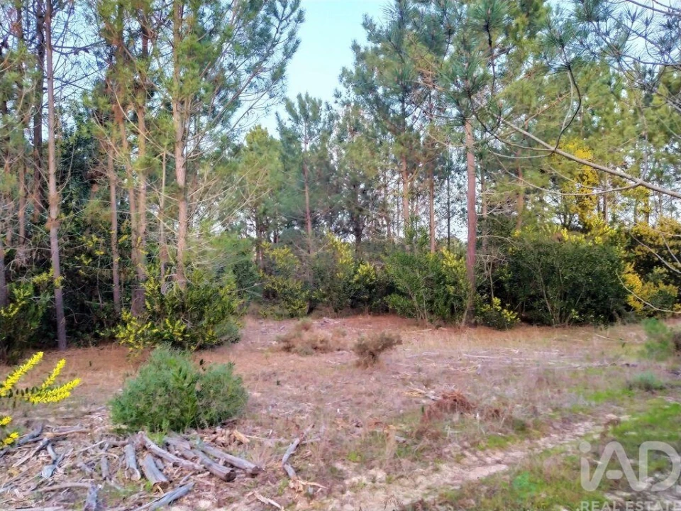 Terreno para Venda em Aljezur Foto 17