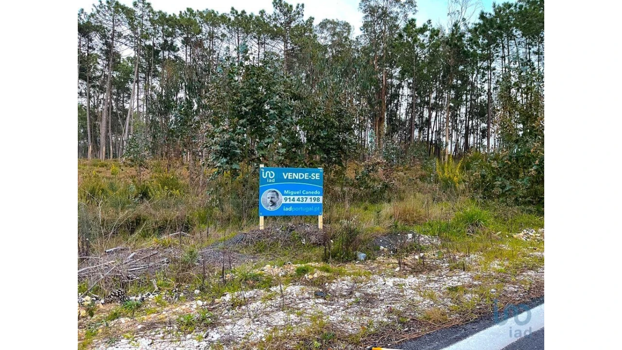 Terreno para Venda em Monte Redondo e Carreira Foto 5