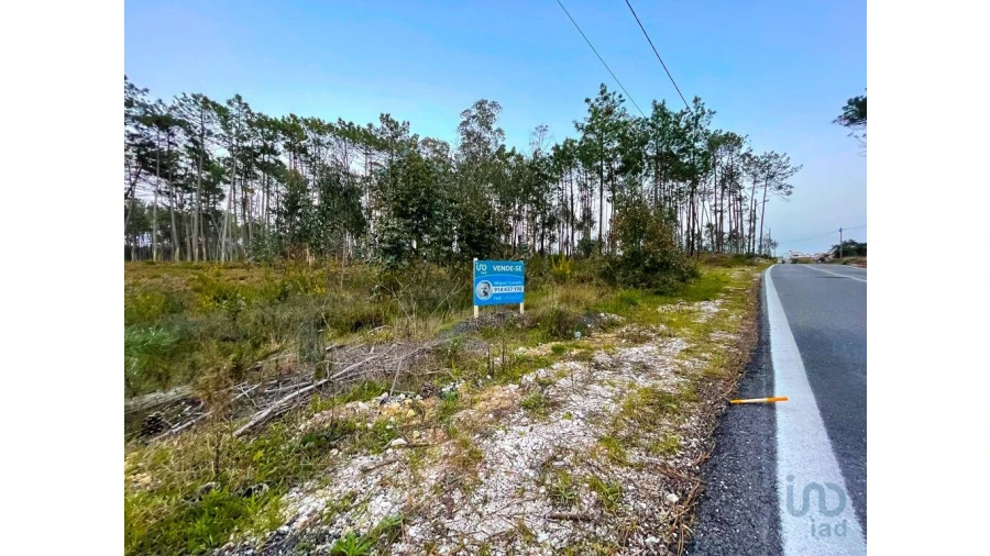 Terreno para Venda em Monte Redondo e Carreira Foto 7