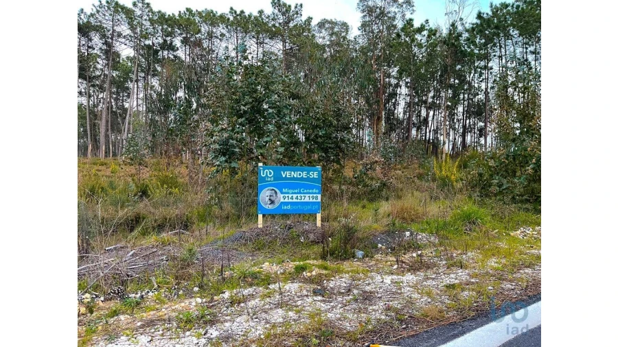 Terreno para Venda em Monte Redondo e Carreira Foto 5