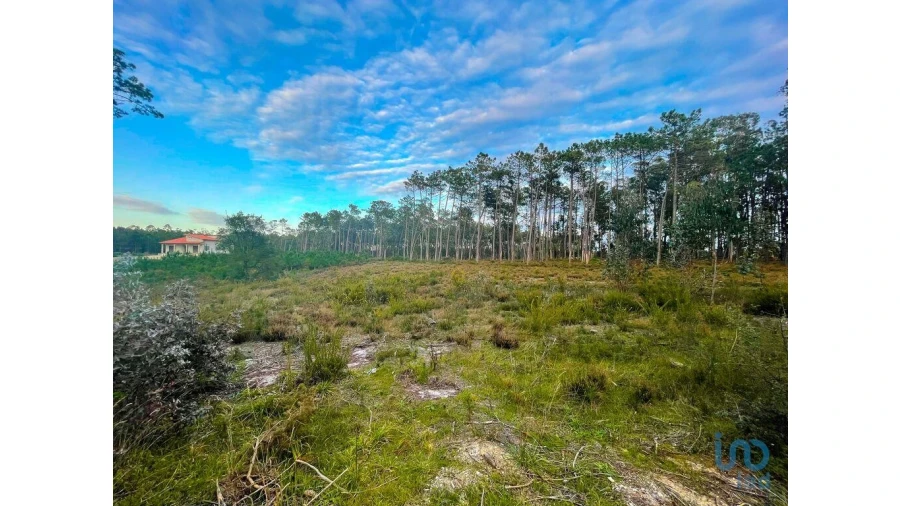 Terreno para Venda em Monte Redondo e Carreira Foto 1