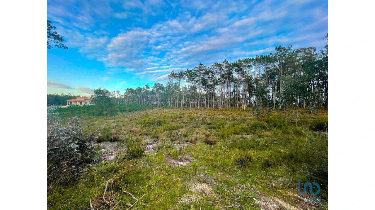 Terreno para Venda em Monte Redondo e Carreira Foto 1