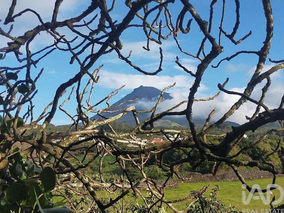 Moradia para Venda em Criação Velha Foto 19