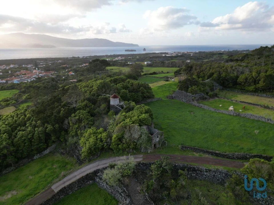 Moradia para Venda em Criação Velha Foto 14