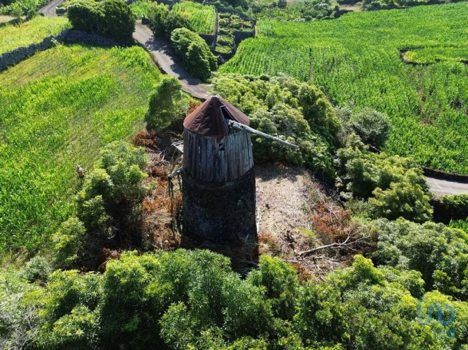 Moradia para Venda em Criação Velha Foto 4