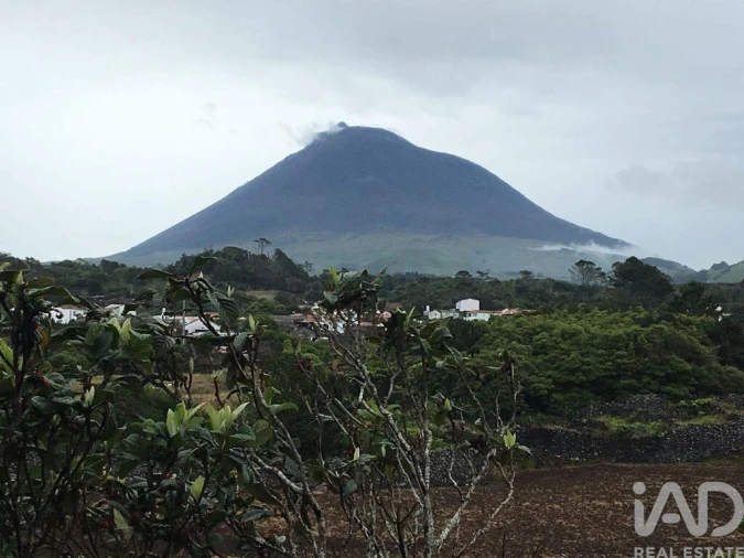 Moradia para Venda em Criação Velha Foto 21