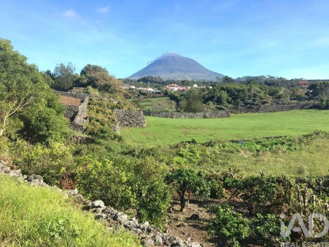 Moradia para Venda em Criação Velha Foto 16