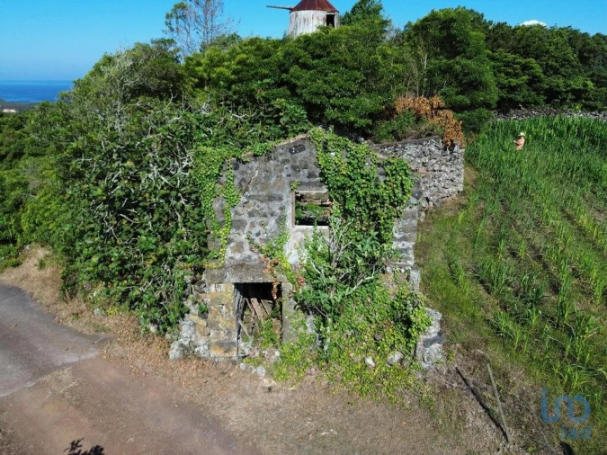 Moradia para Venda em Criação Velha Foto 5