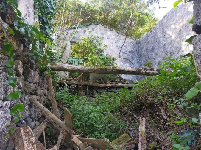 Moradia para Venda em Criação Velha Foto 15