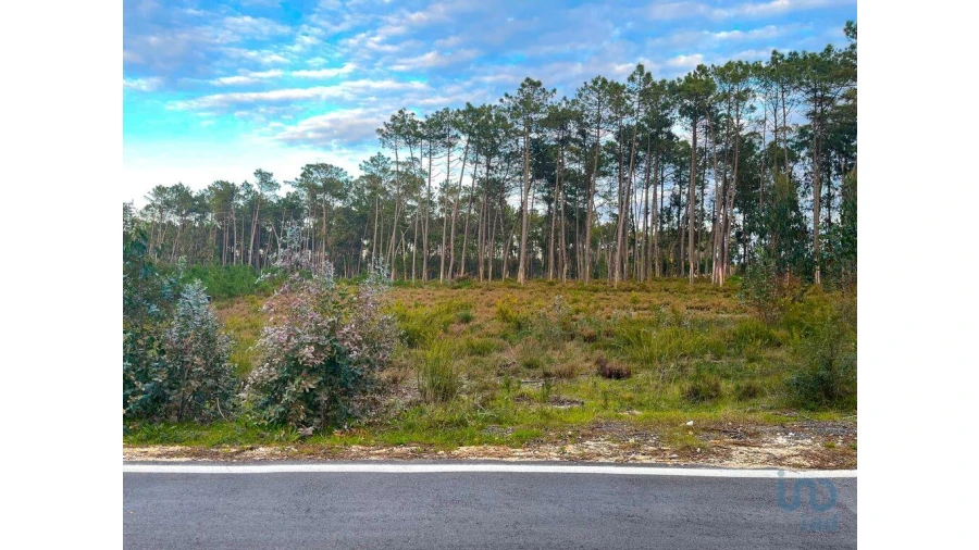 Terreno para Venda em Monte Redondo e Carreira Foto 3