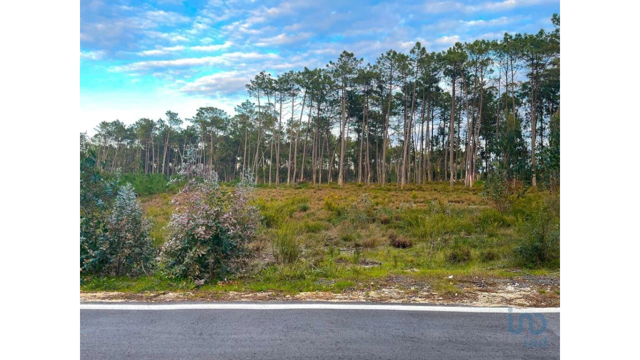 Terreno para Venda em Monte Redondo e Carreira Foto 3