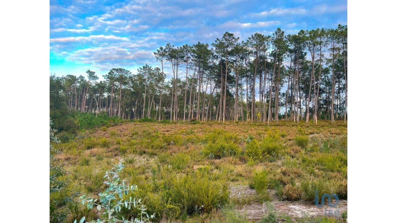 Terreno para Venda em Monte Redondo e Carreira Foto 4