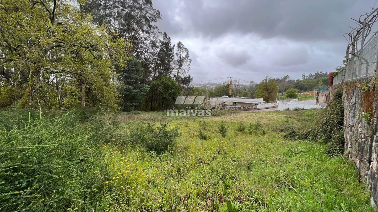 Terreno para Venda em Lago Foto 4