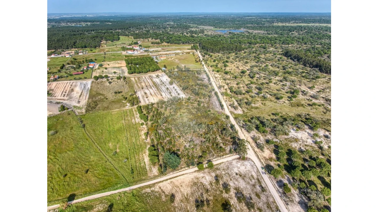 Terreno para Venda em Branca Foto 10